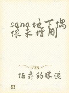 sana地下偶像未增删