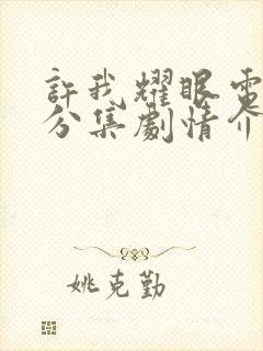 许我耀眼电视剧分集剧情介绍