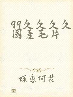 99久久久久久国产毛片
