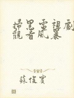 扫黑电视剧在线观看风暴