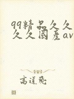 99精品久久久久久国产av