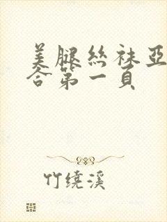 美腿丝袜亚洲综合第一页封面