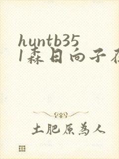 huntb351森日向子在线播放