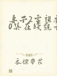 妻子2电视剧50集在线观看免费封面