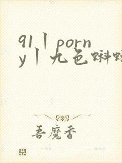 91丨porny丨九色蝌蚪