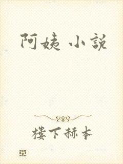 阿姨 小说