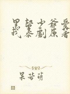 黑帮少爷爱上了我泰剧原著小说封面