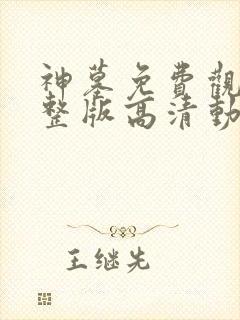 神墓免费观看完整版高清动漫在线