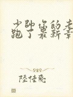 少帅你的老婆又跑了最新章节免费阅读