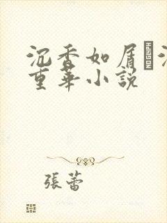 沉香如屑·沉香重华小说
