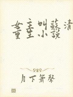 女主叫苏清浅的重生小说