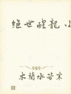 绝世醒龙 小说