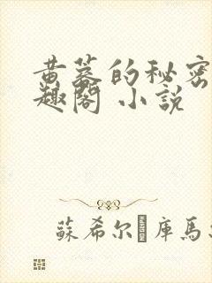 黄蓉的秘密 笔趣阁 小说