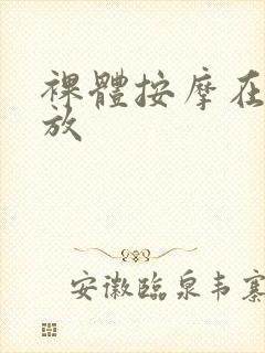 裸体按摩在线播放封面