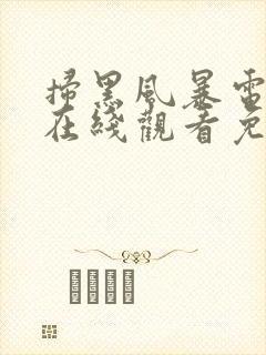 扫黑风暴电视剧在线观看免费完整版封面