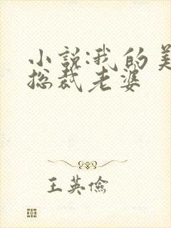 小说:我的美女总裁老婆