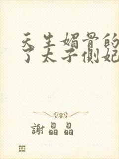 天生媚骨的她成了太子侧妃小说封面