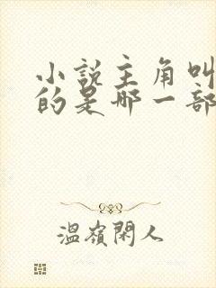 小说主角叫陆川的是哪一部小说?