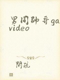 男同帅哥gayvideo
