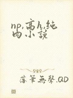 np,高h,纯肉小说封面