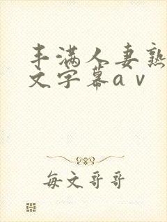丰满人妻熟女中文字幕aⅴ