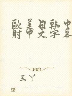 欧美日韩中出内射中文字幕封面