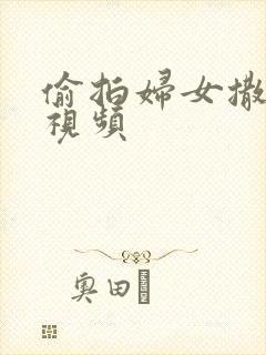 偷拍妇女撒尿的视频