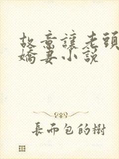 故意让老头享受娇妻小说