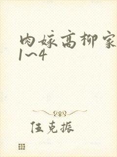 肉嫁高柳家动漫1~4