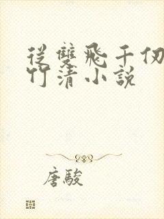 从双飞千仞雪朱竹清小说