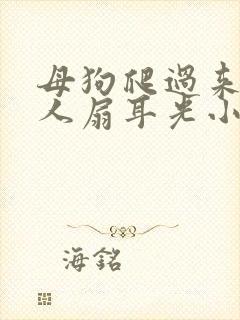 母狗爬过来叫主人扇耳光小说免费封面