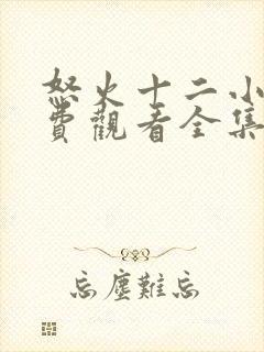 怒火十二小时免费观看全集完整版