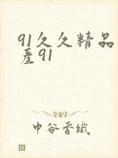 91久久精品国产91
