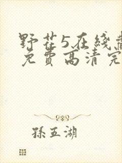 野花5在线观看免费高清完整5