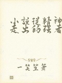 小说从精神病院走出的强者阅读