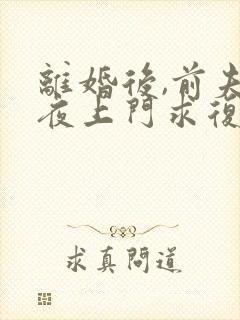 离婚后,前夫连夜上门求复婚txt