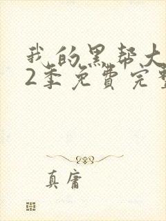 我的黑帮大佬第2季免费完整版