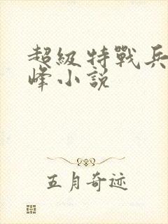 超级特战兵王张峰小说