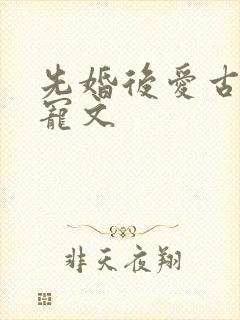 先婚后爱古言甜宠文