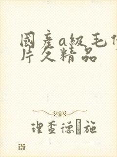 国产a级毛伊人片久精品