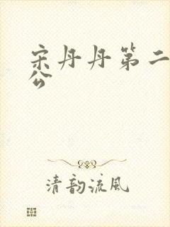 宋丹丹第二任老公