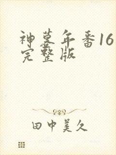 神墓年番16集完整版