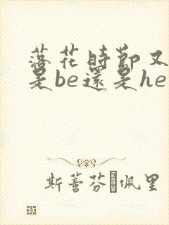 落花时节又逢君是be还是he