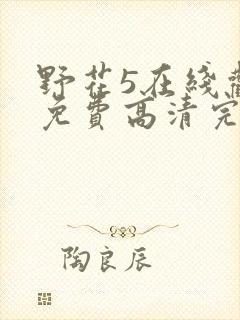 野花5在线观看免费高清完整5
