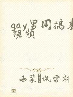 gay男同搞基视频