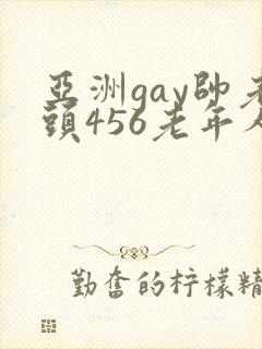 亚洲gay帅老头456老年人