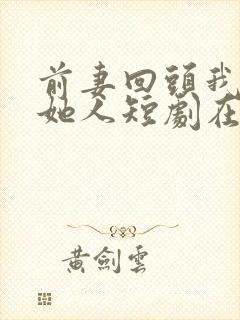 前妻回头我已娶她人短剧在线观看