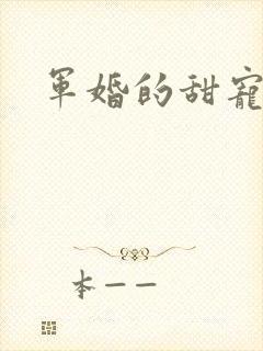 军婚的甜宠文