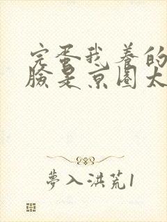 完蛋我养的小白脸是京圈太子爷阅读