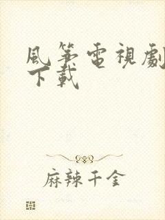 风筝电视剧高清下载封面